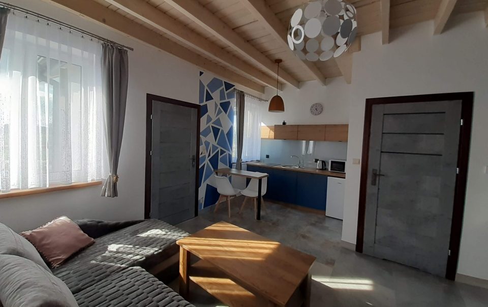 apartament Solec-Zdrój aneks kuchenny wyposażony