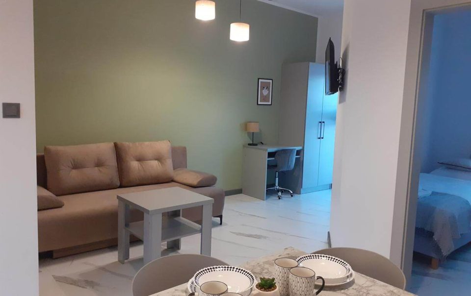 apartamenty-roza-wiatrow-solec-zdroj-pokoj-4 (8)